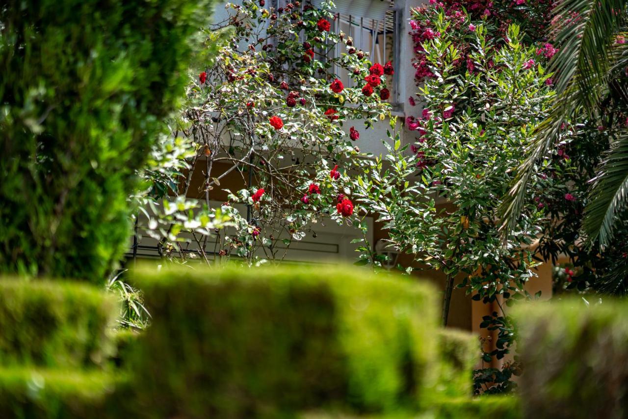 Apartments Villa Rudi Bibinje Exteriér fotografie